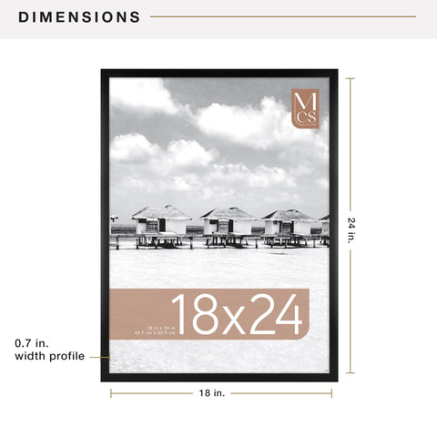 MCS Foundation 18x24 frame with clear plexi front protecting posters.