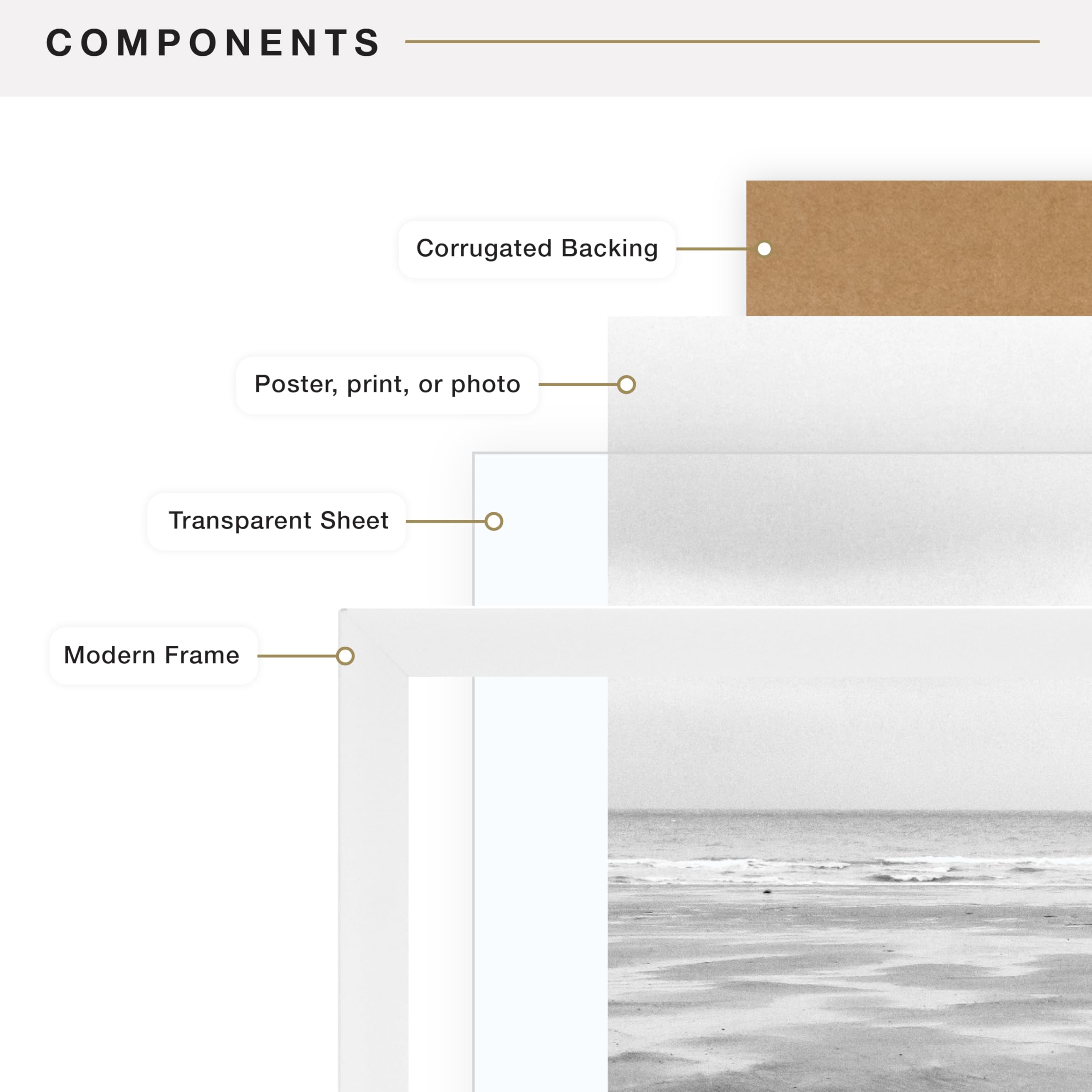 Plexi front offers glass-like clarity without sharp risk.