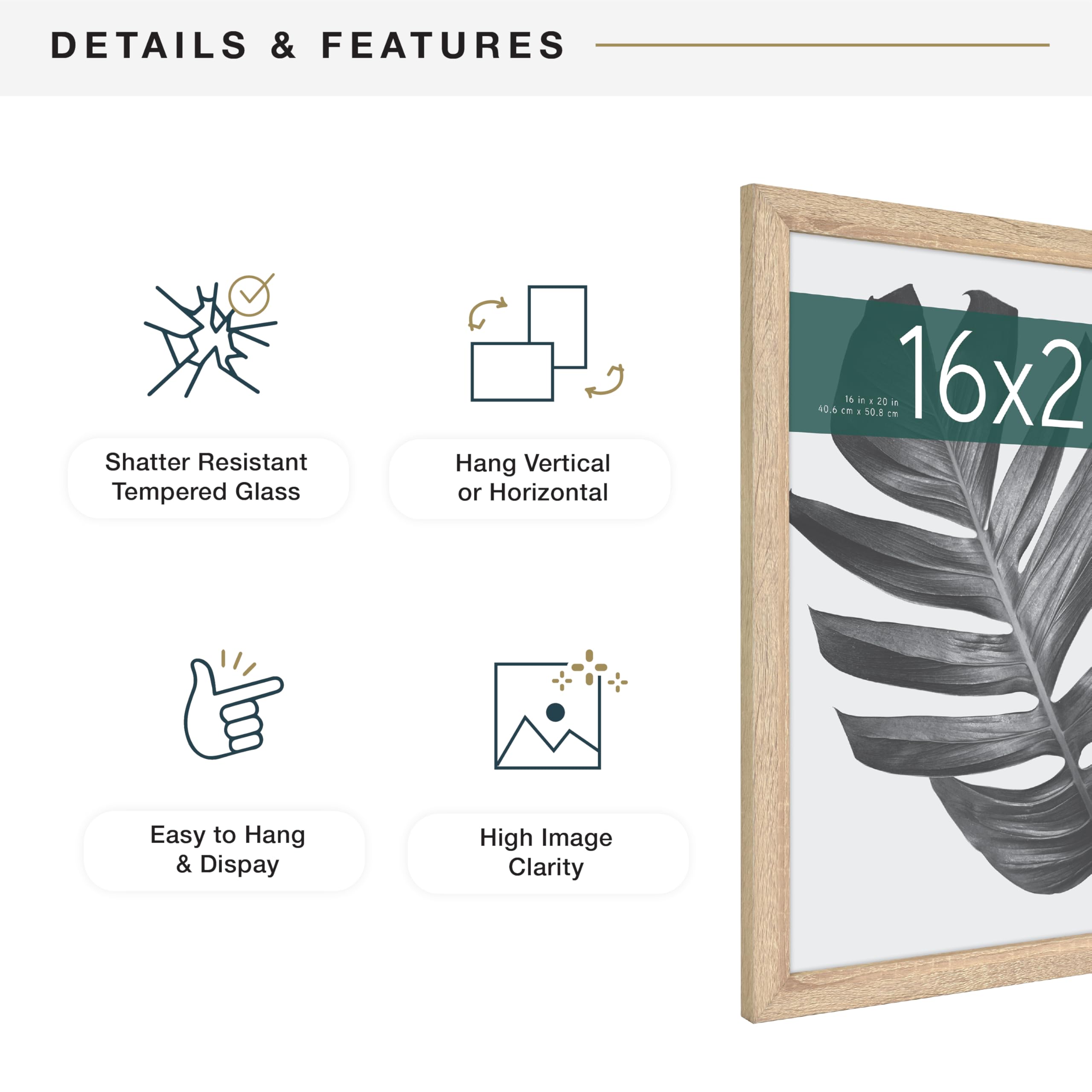 MCS Studio Gallery plexiglass front protects photos while preserving clarity.