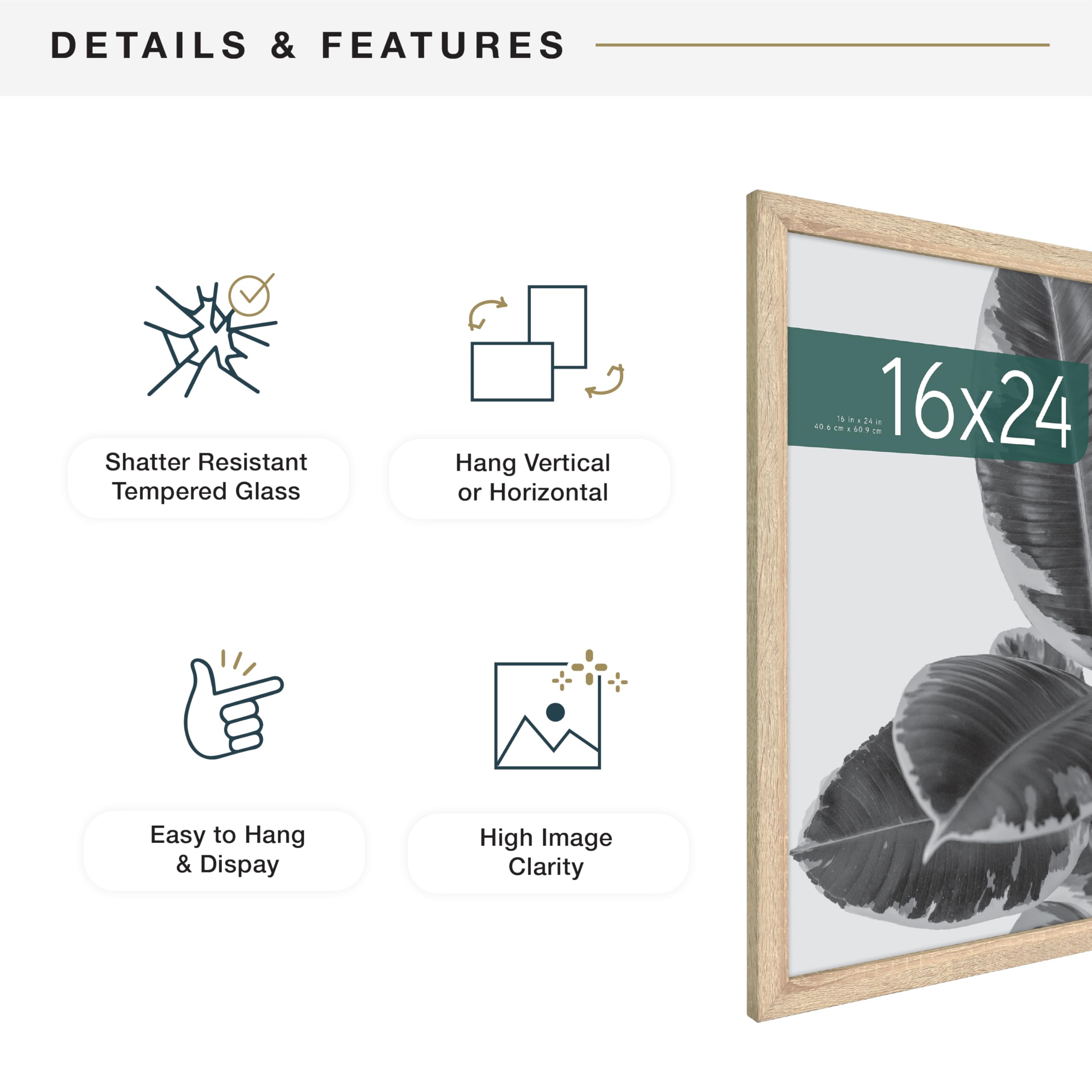 MCS Studio Gallery frame with plexiglass protects photos and posters.