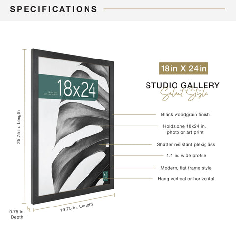 MCS Studio Gallery 18x24 frame plexiglass front protecting prints with clarity