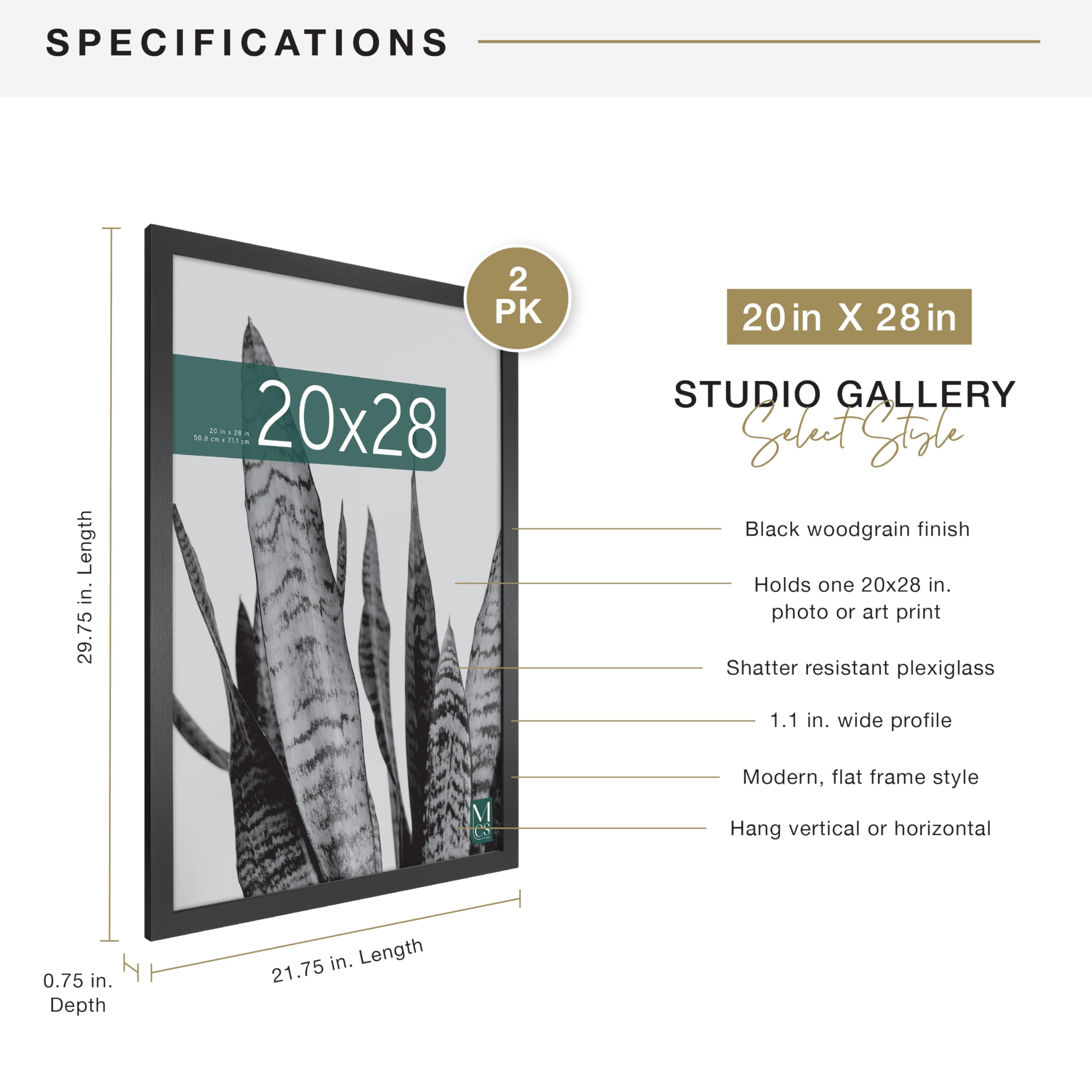 MCS Studio Gallery 20x28 frame with plexiglass front protects art and photos