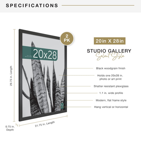 MCS Studio Gallery 20x28 frame with plexiglass front protects art and photos