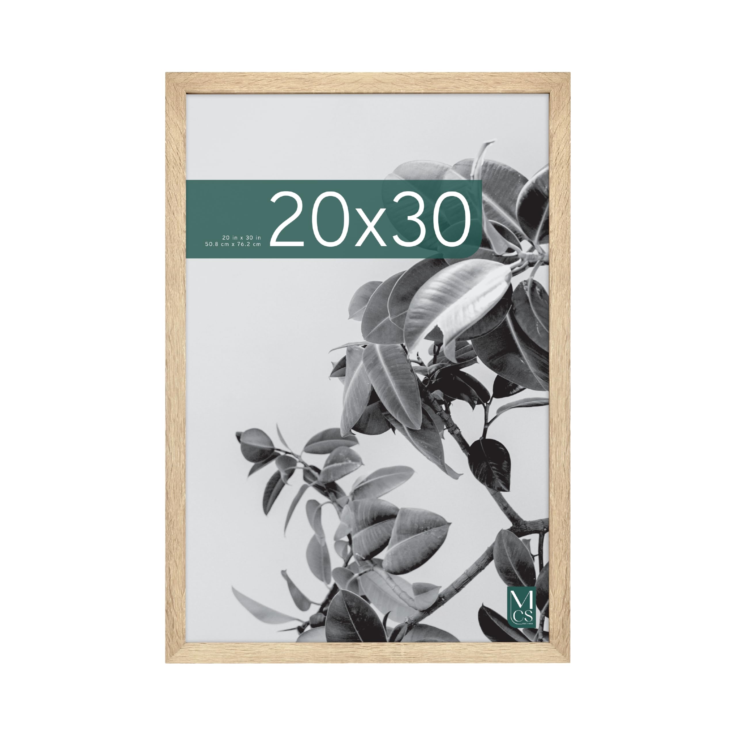 MCS Studio Gallery 20x30 frame with natural woodgrain finish for timeless displays.