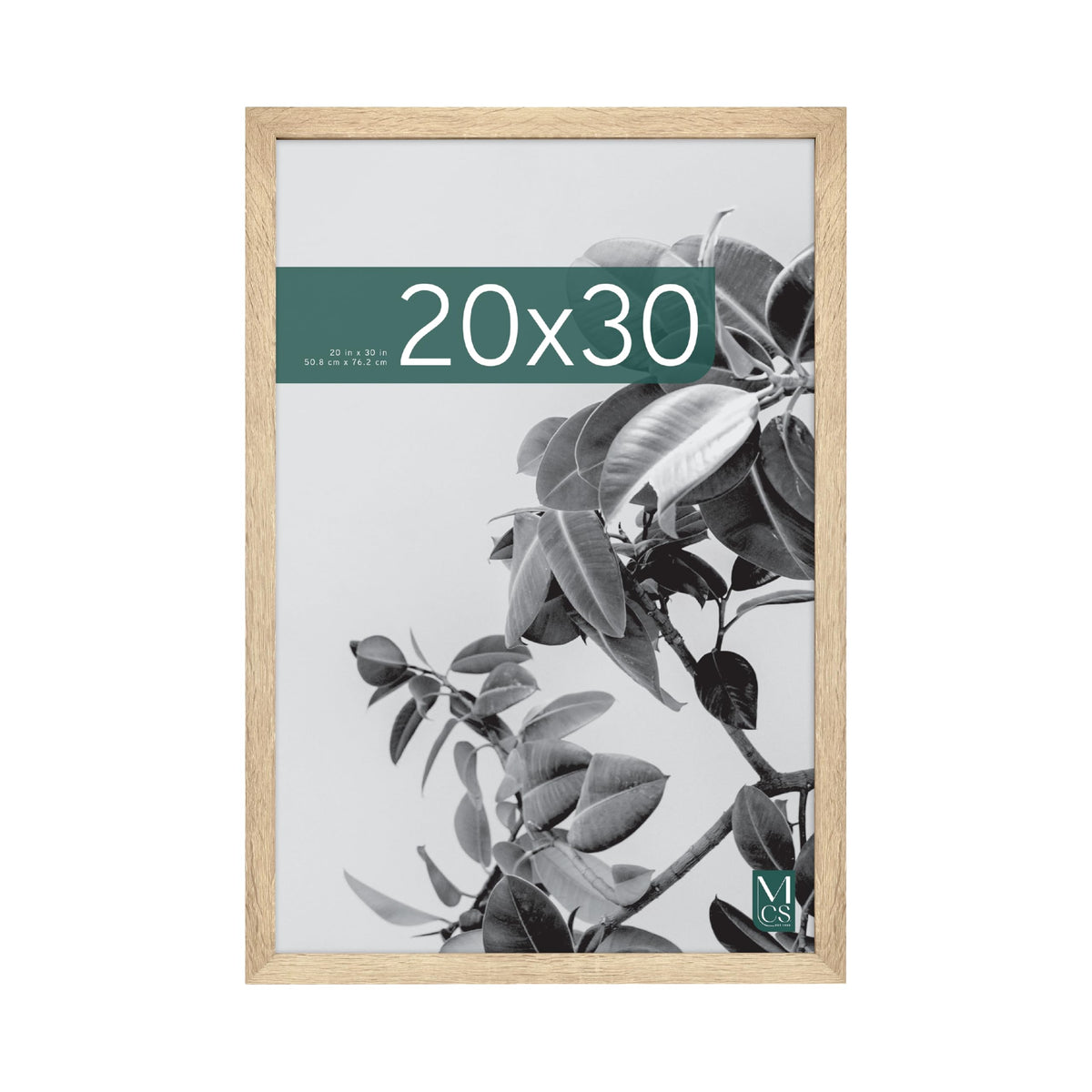 MCS Studio Gallery 20x30 frame with natural woodgrain finish for timeless displays.