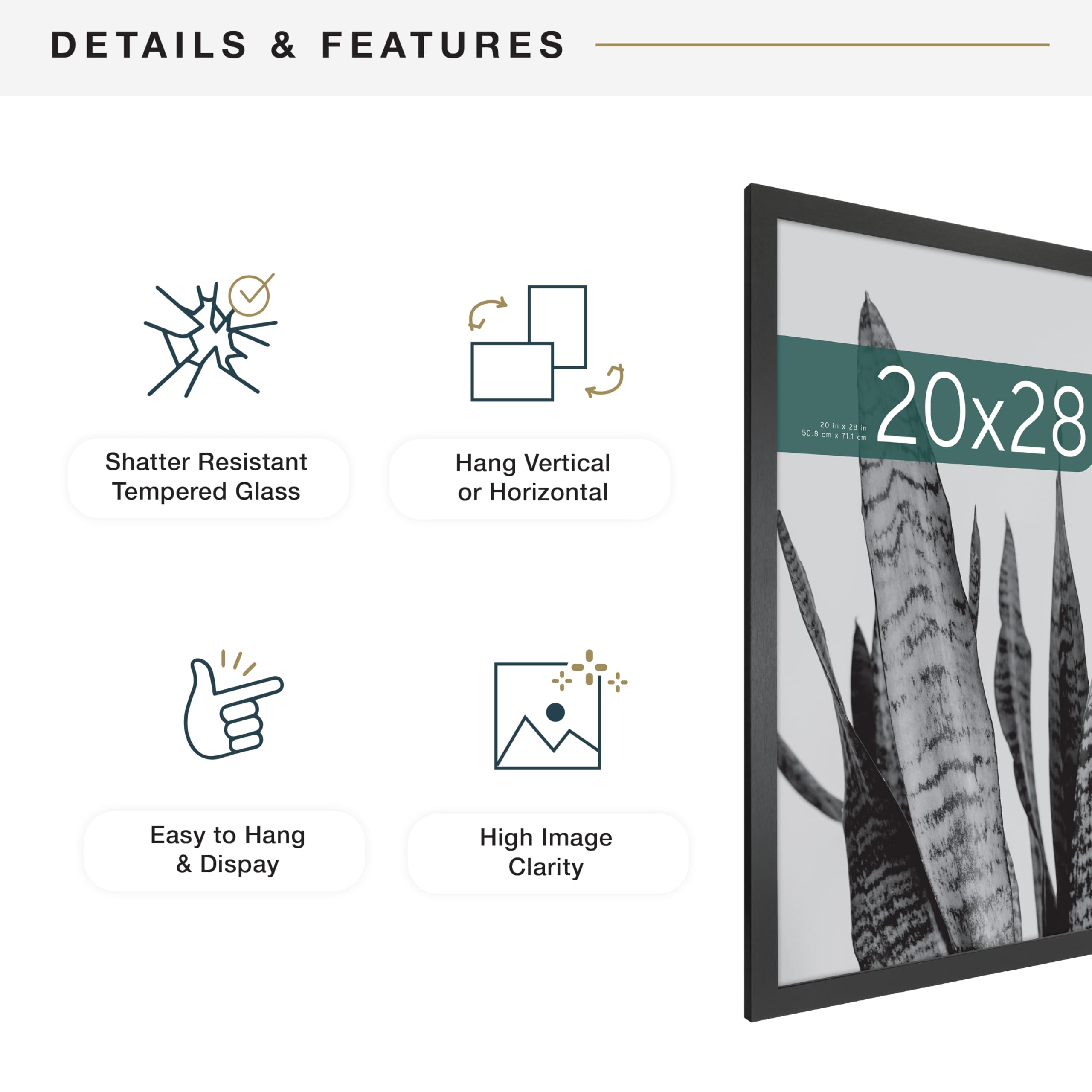 MCS Studio Gallery backboard design ensures sturdy display of larger posters
