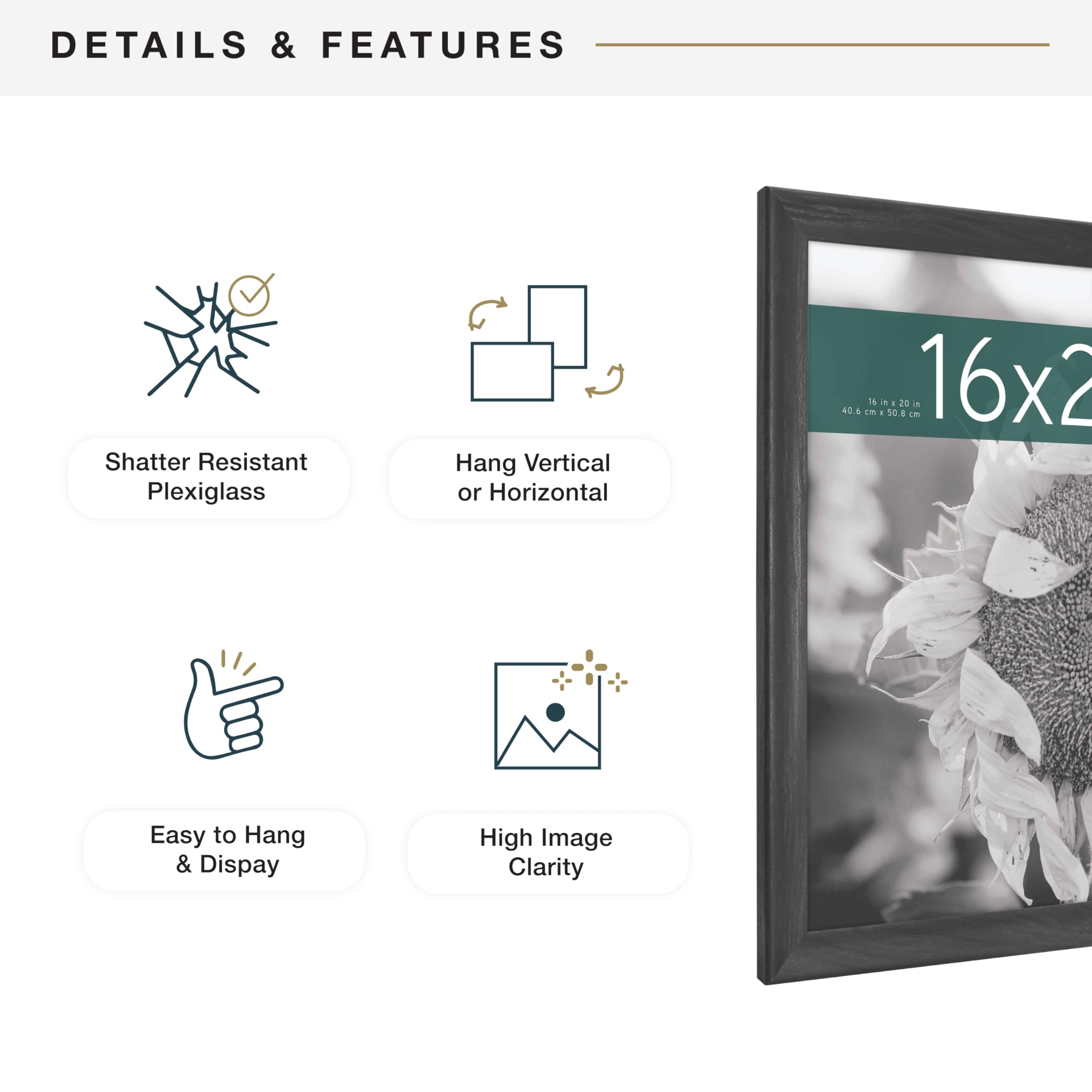 MCS Studio Gallery Classic 16x20 frame with shatter-resistant plexiglass.