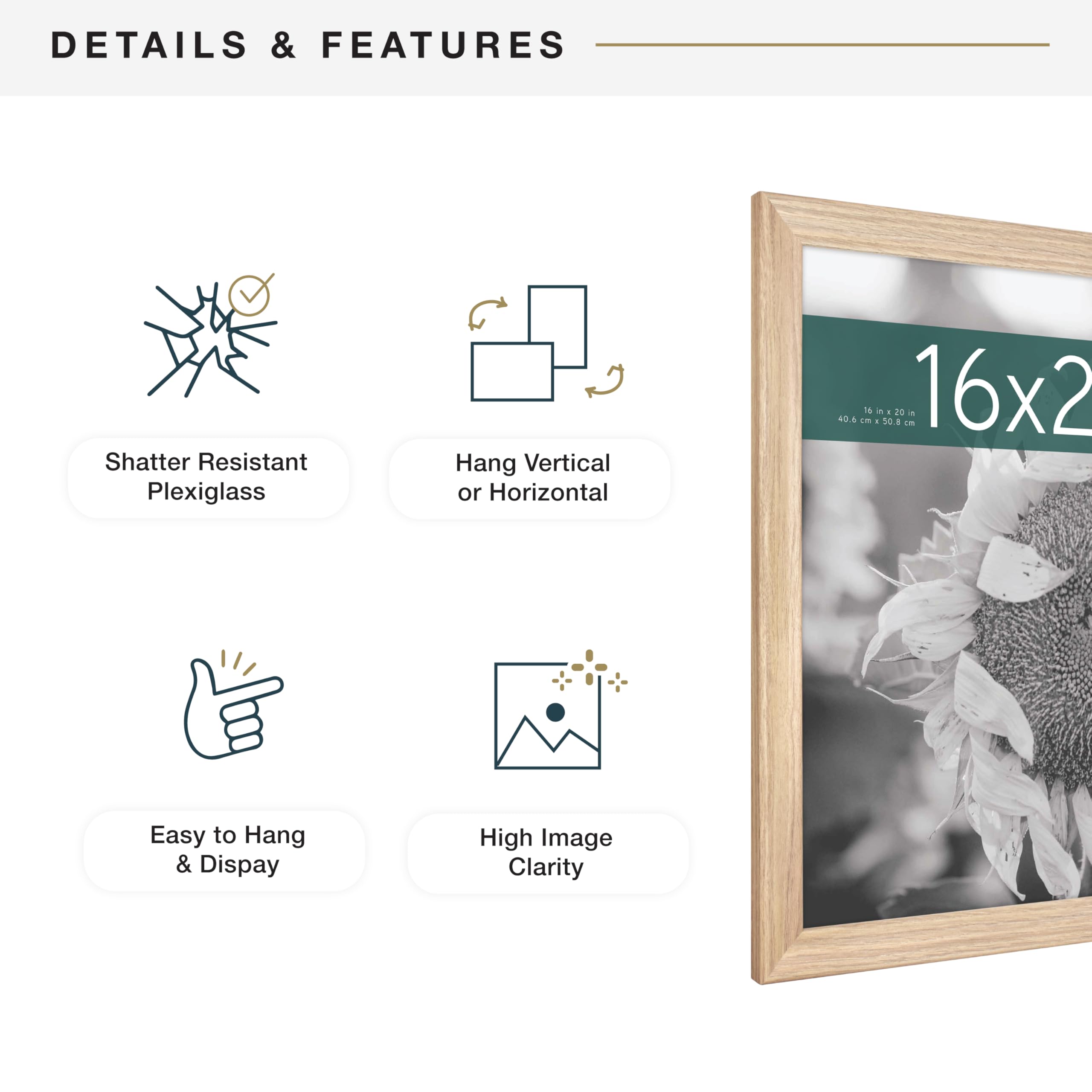 MCS Studio Gallery Classic frame plexiglass front closeup