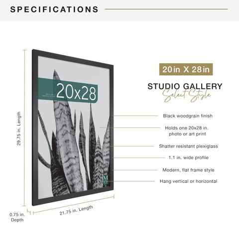 MCS Studio Gallery frame with sawtooth hanger ready for vertical or horizontal hanging.