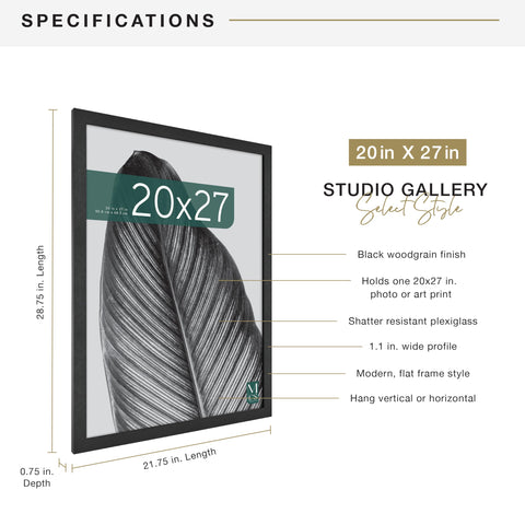 MCS Studio Gallery frame front shows plexiglass protection for artwork.