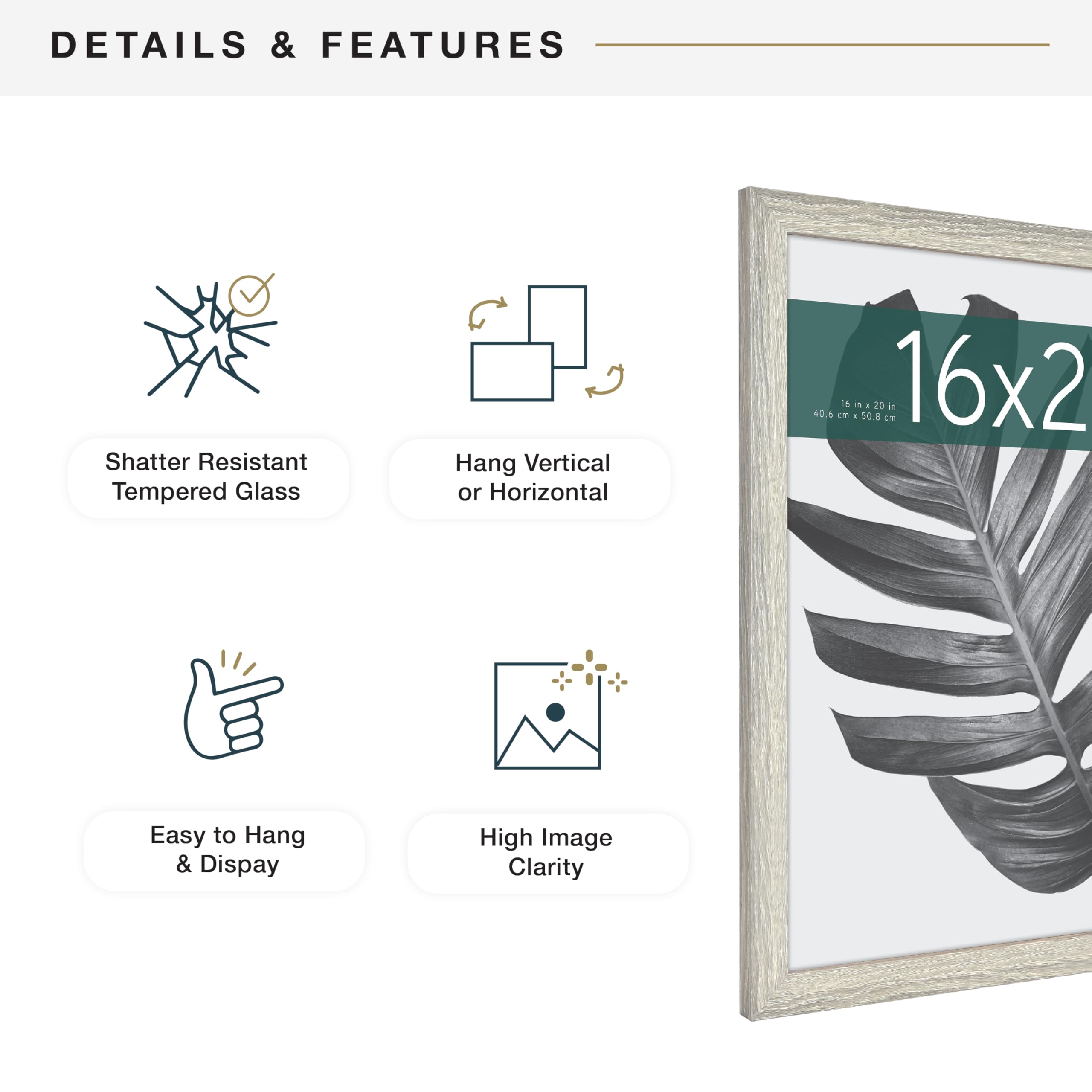 MCS Studio Gallery plexiglass front protects prints while remaining light.