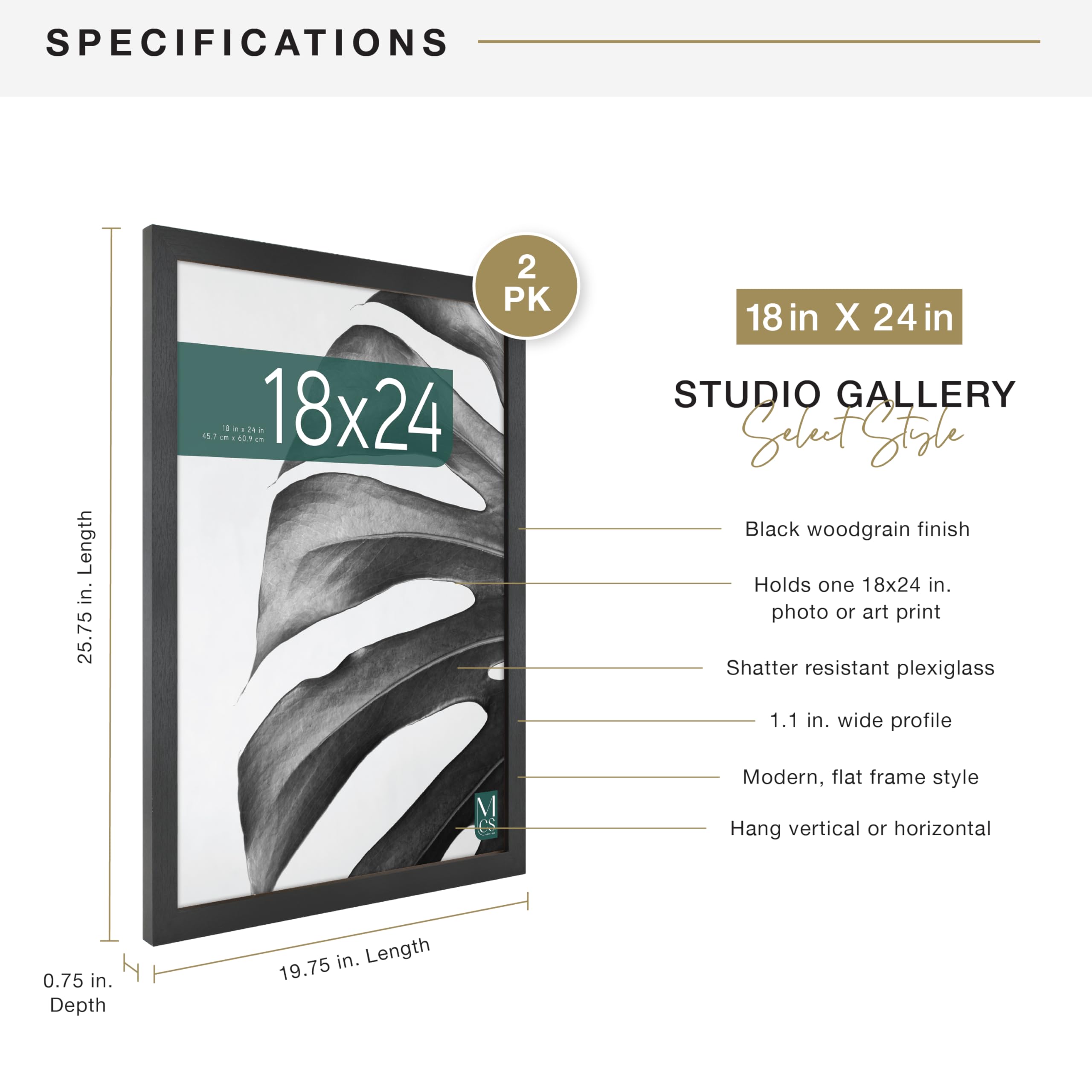 MCS Studio Gallery frame with sawtooth hangers for versatile wall mounting.