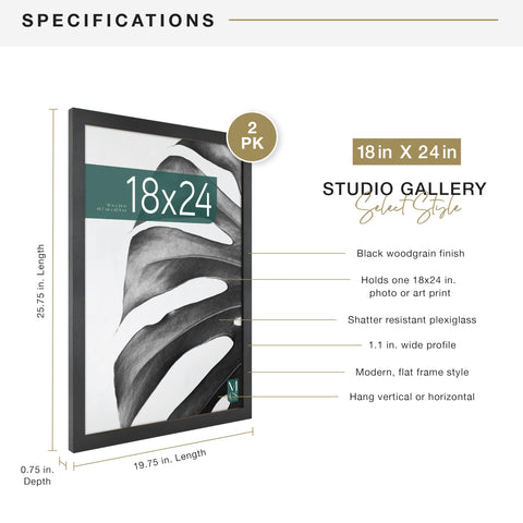 MCS Studio Gallery frame with sawtooth hangers for versatile wall mounting.