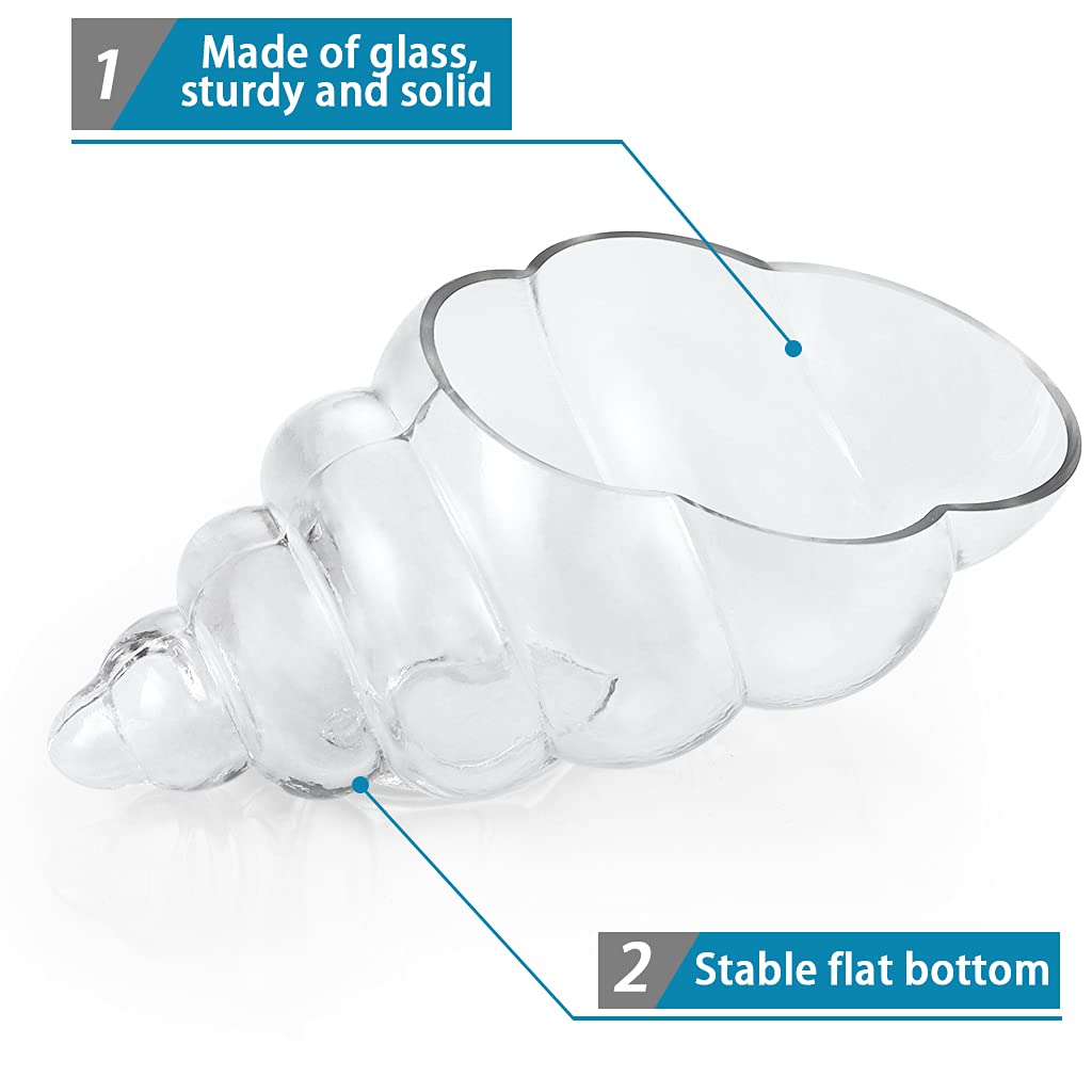 MDLUU coastal glass container fits table or shelf display with stable flat base.
