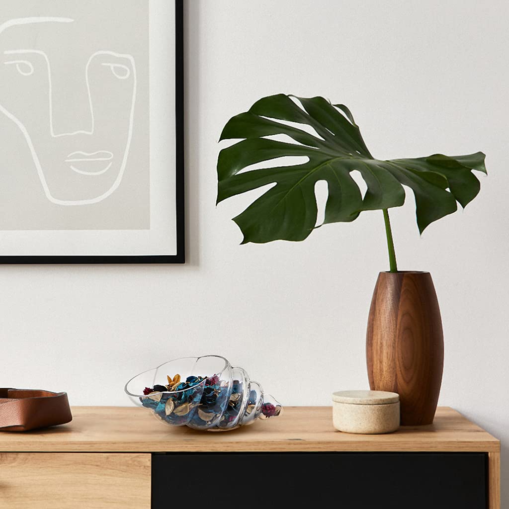 MDLUU multi-purpose vase blends coastal style with practical display ideas.
