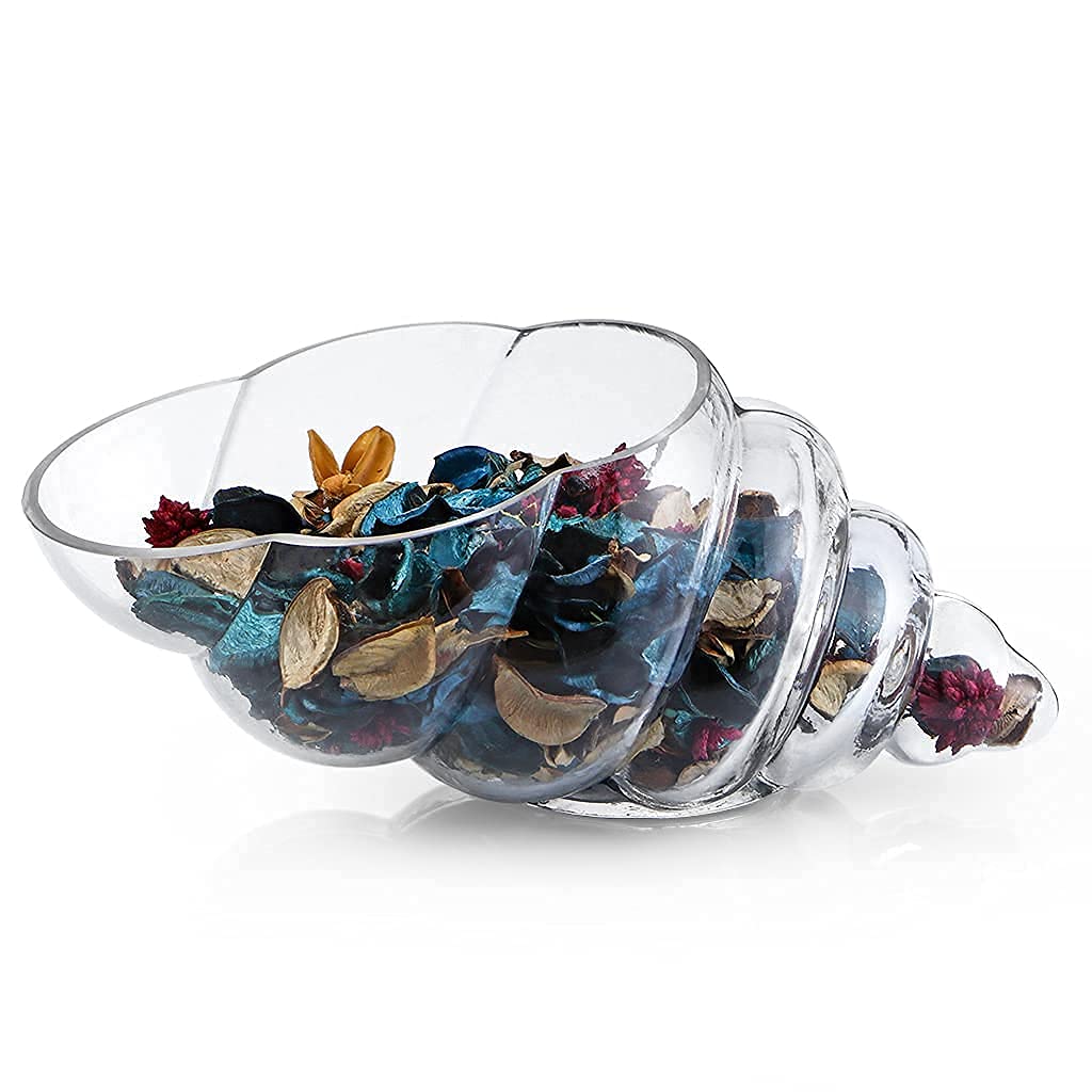 MDLUU glass shell vase 11-inch seashell potpourri holder on a coastal shelf.
