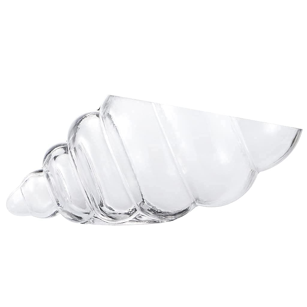 MDLUU large conch bowl showcases shells beautifully and doubles as a candy dish.