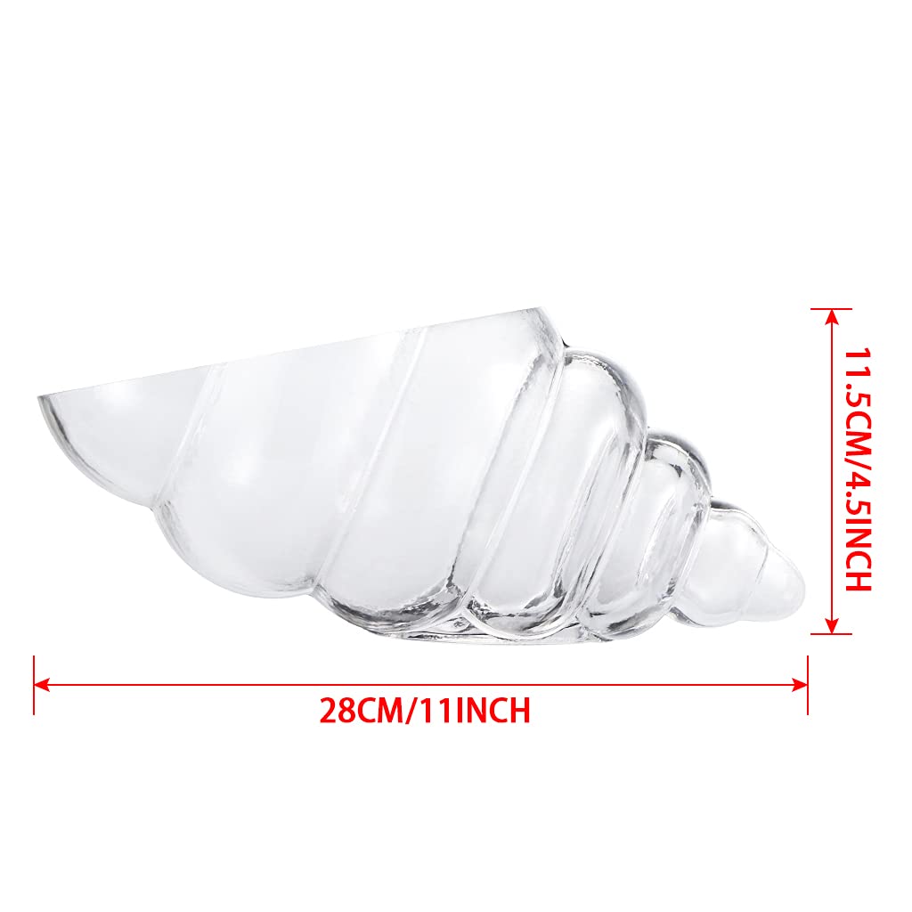 MDLUU seashell vase creates sea-glass presentation for air plants and succulents.