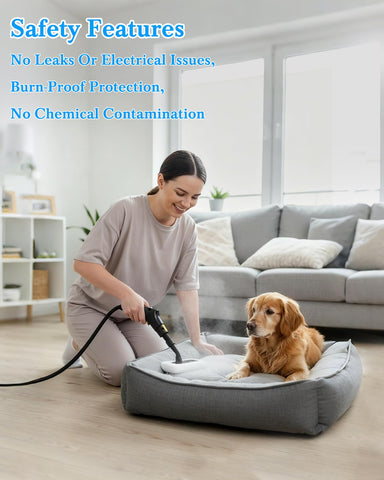 Mecmic steam cleaner warranty and lifetime support image