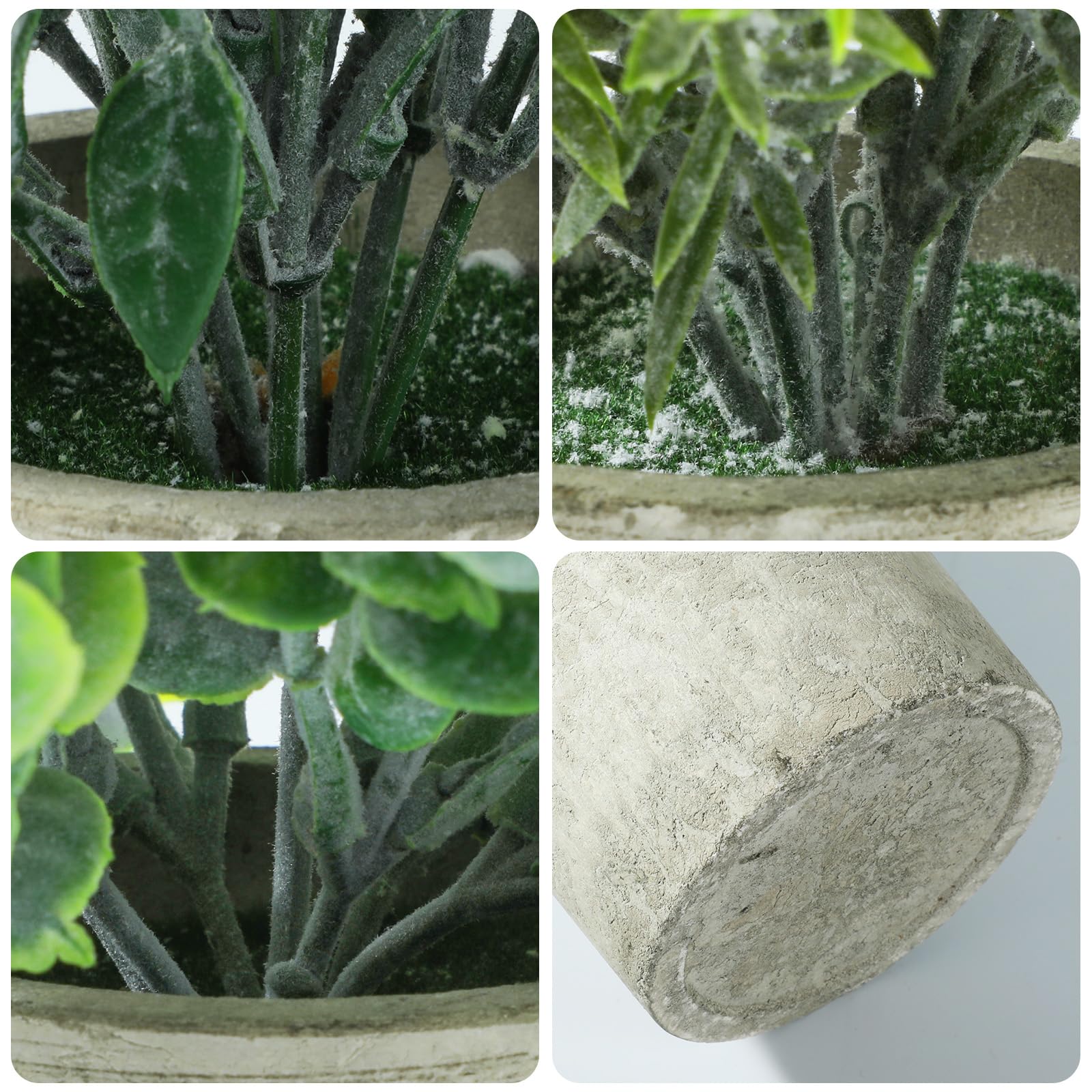 Meinature gift-set 3-plants ready-to-display for gifts.