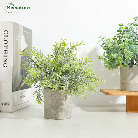 Meinature kitchen counter plant 1 for allergen-free ambiance.