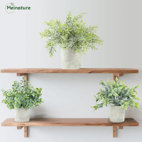 Meinature shelf decoration potted plant 1 brings year-round green.