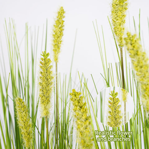 Melorca&Guilla dog-tail grass close-up highlights realistic leaves