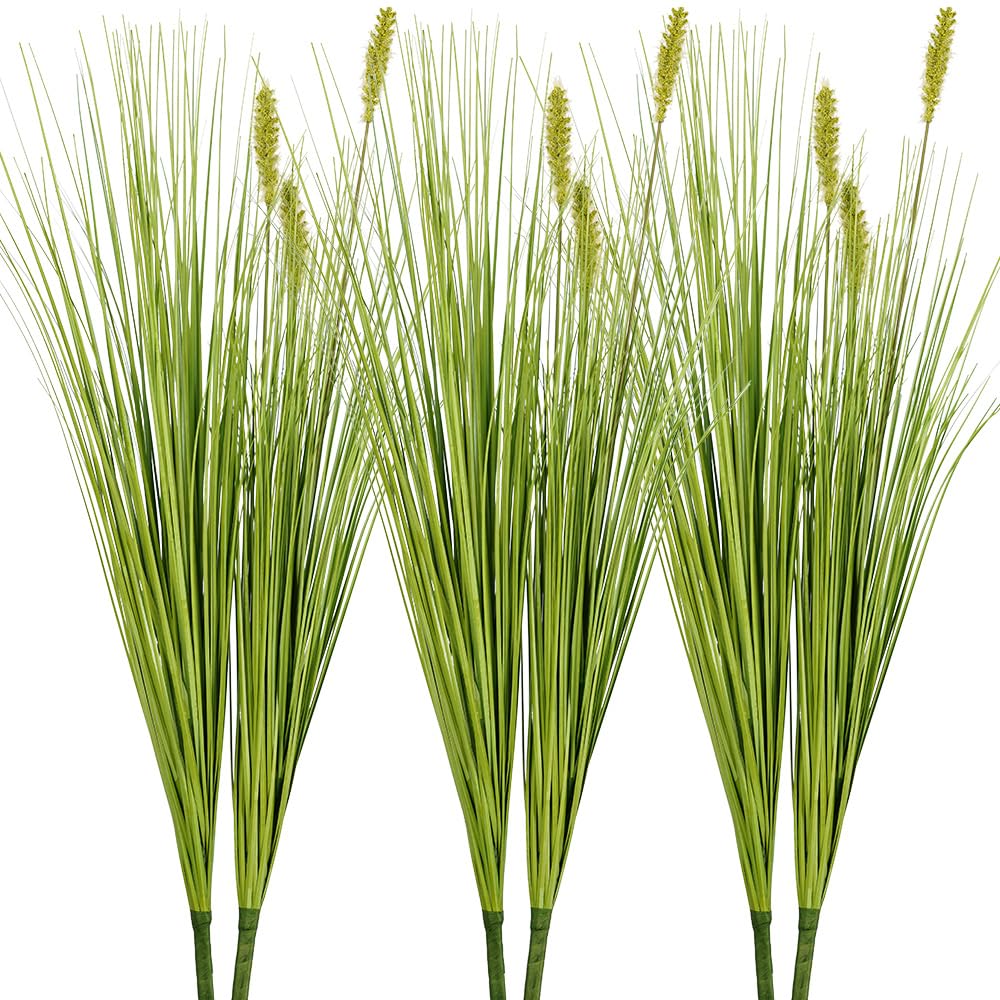 Melorca&Guilla onion grass 27in in living room for low-maintenance greenery