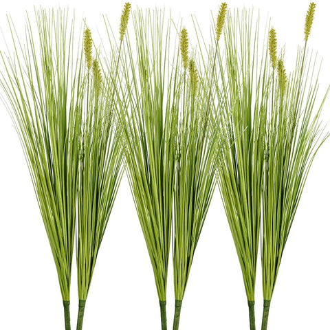 Melorca&Guilla onion grass 27in in living room for low-maintenance greenery