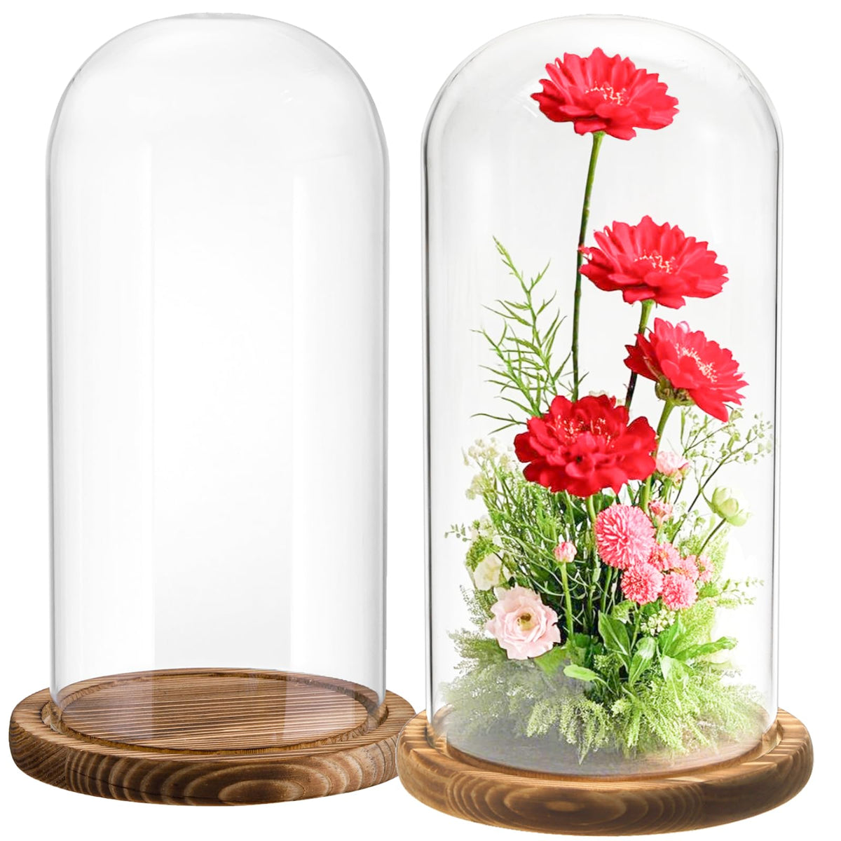 Mezzi glass cloche dome with dark base for ten-inch display.