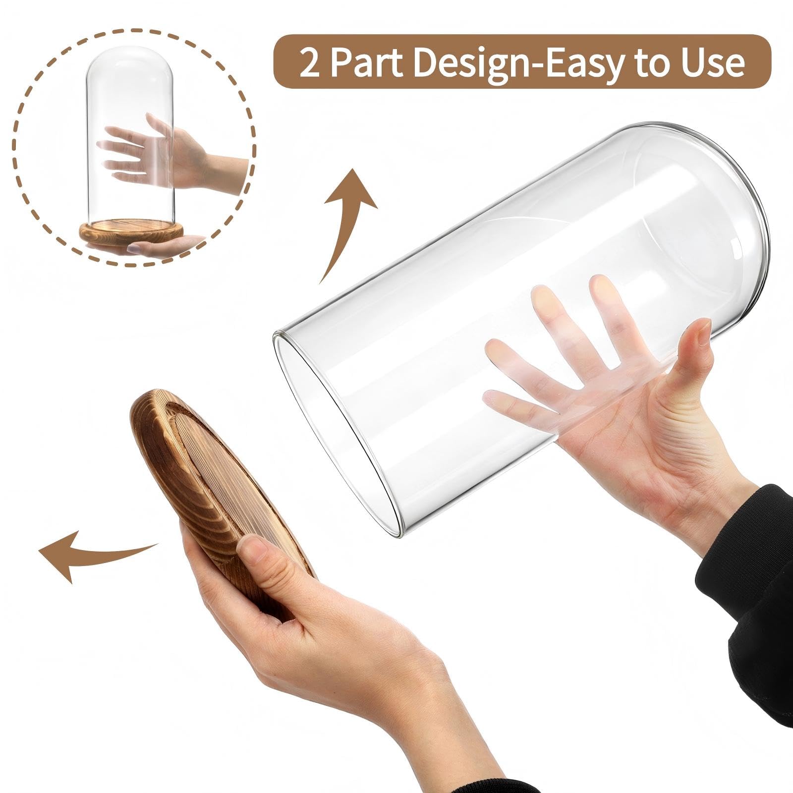 Mezzi hand-blown dome features bubble-free clarity on a shelf.