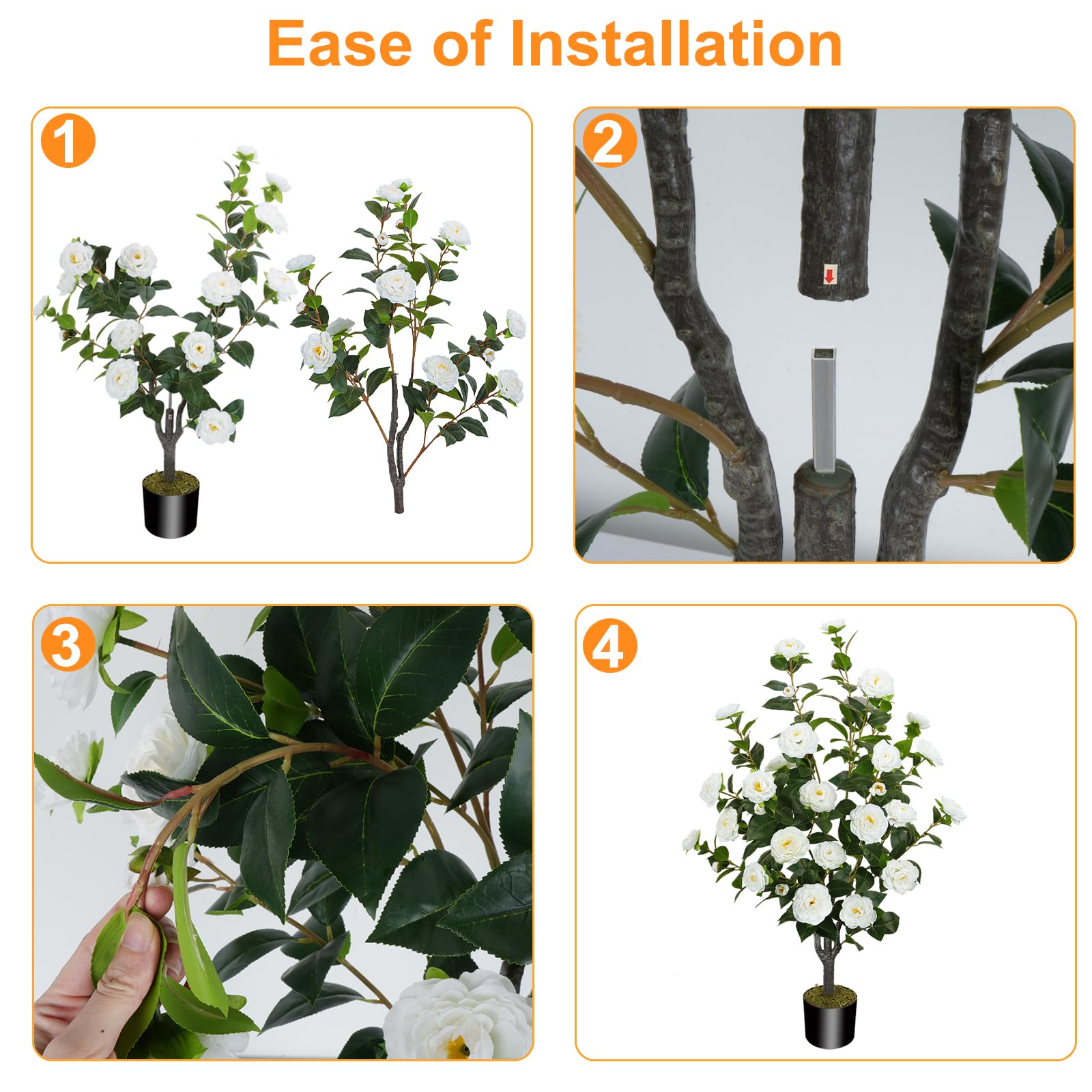 MHMJON camellia tree with white blooms from a side view for a graceful focal point.