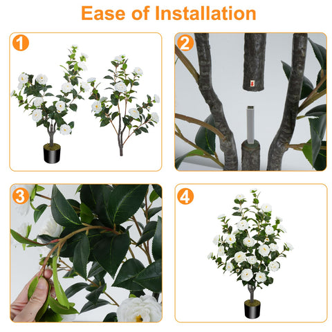 MHMJON camellia tree with white blooms from a side view for a graceful focal point.