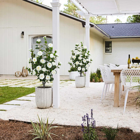 MHMJON cement-filled pot provides stable indoor or outdoor placement.