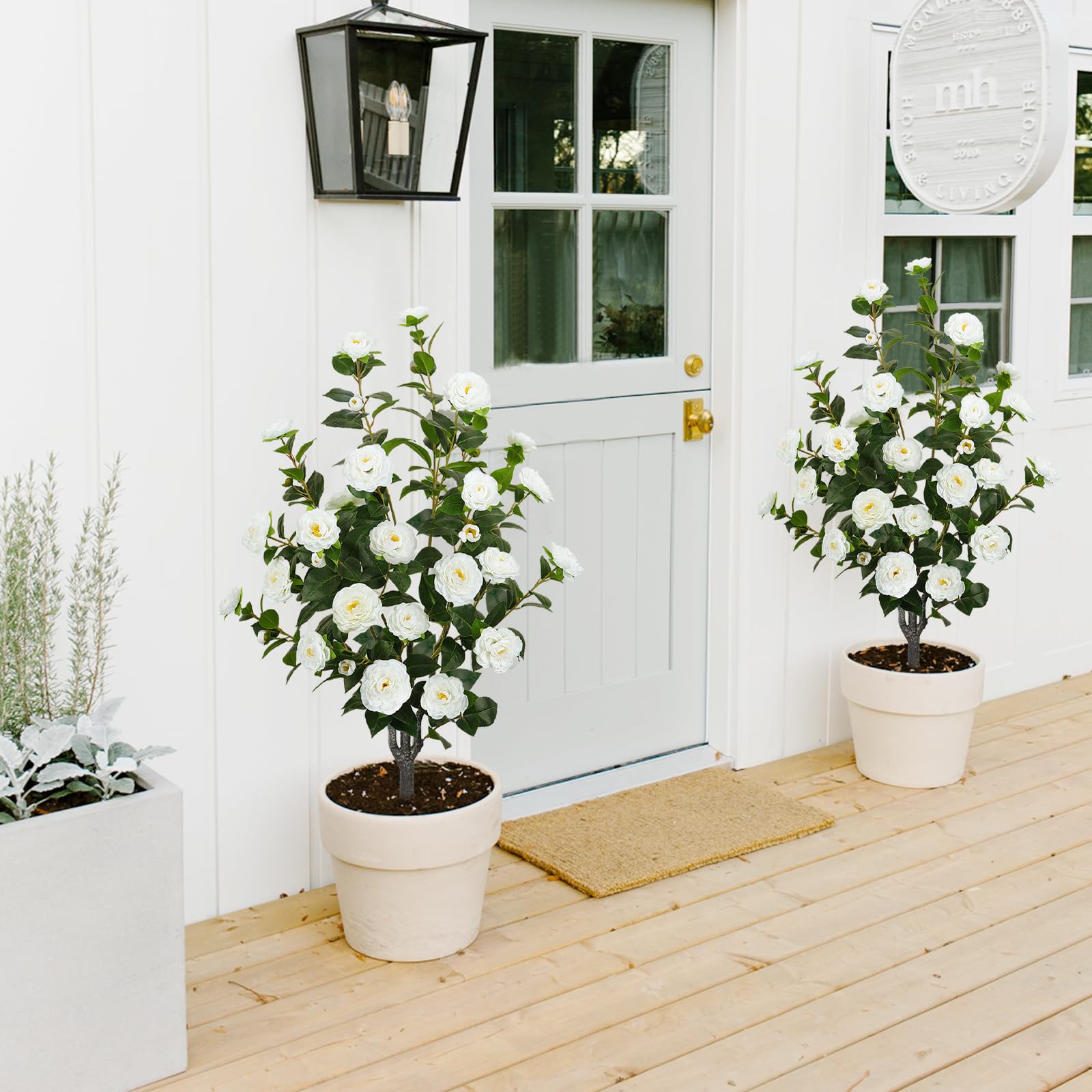 MHMJON faux moss included to complete a natural-looking display.