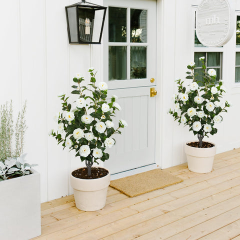MHMJON faux moss included to complete a natural-looking display.