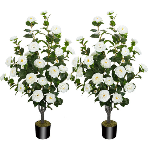 MHMJON two-pack camellia trees ready to elevate interior or exterior decor with lush blooms.