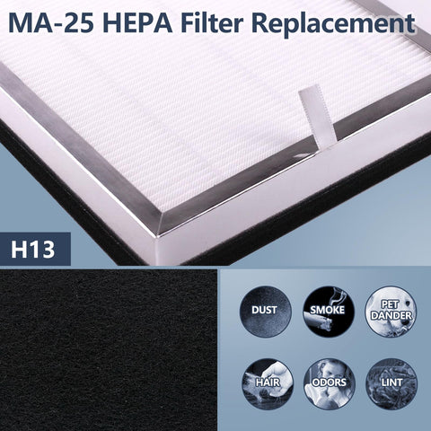 MA25 true HEPA with activated carbon pre-filter cleans indoor air.