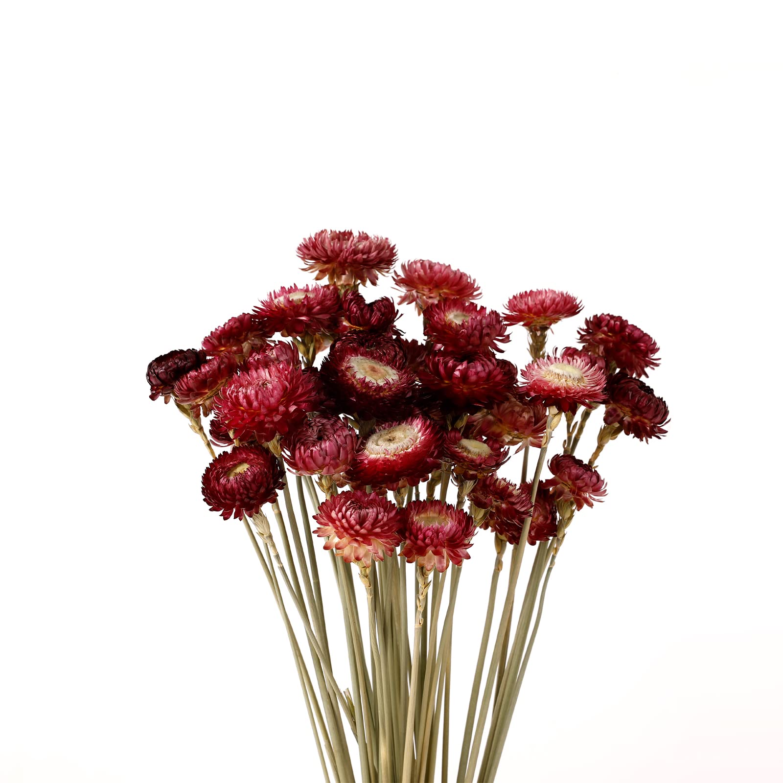 MIHUAGE dried chrysanthemum bouquet in burgundy for home decor