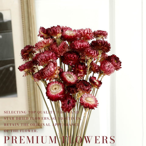 Long-lasting color MIHUAGE dried chrysanthemums retain richness