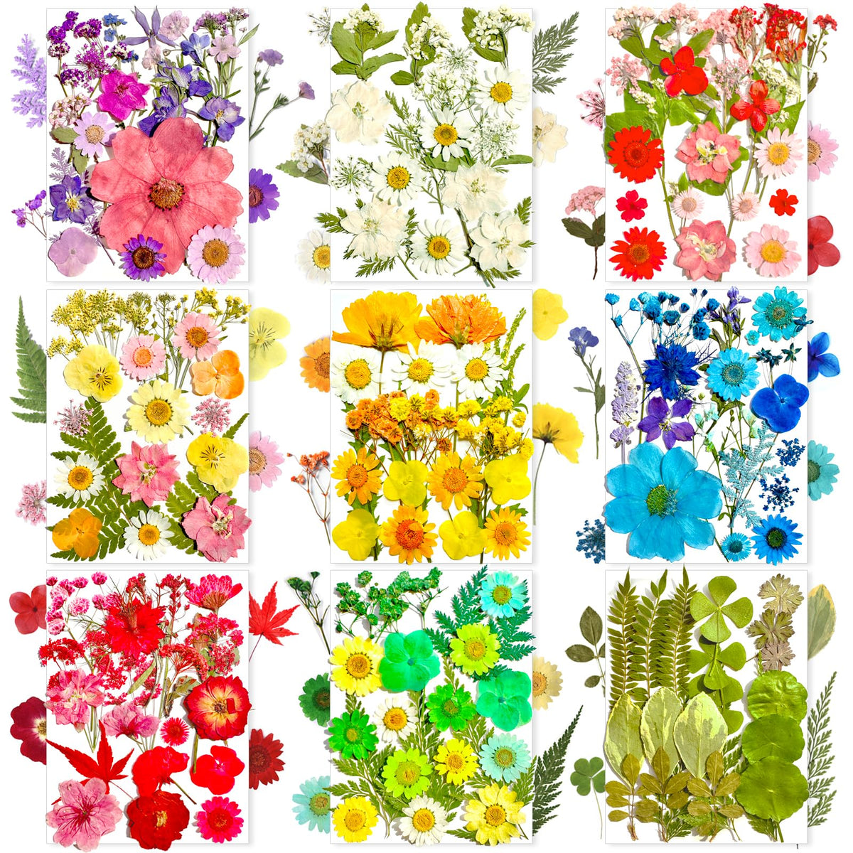 MIKIYA 182Pcs dried flowers in a vacuum pack for resin crafts.