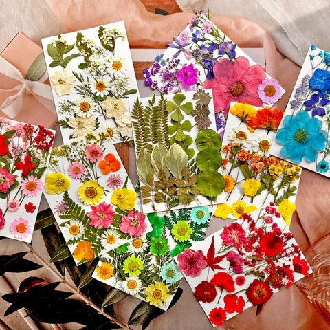 MIKIYA dried flowers for resin molds and jewelry making.