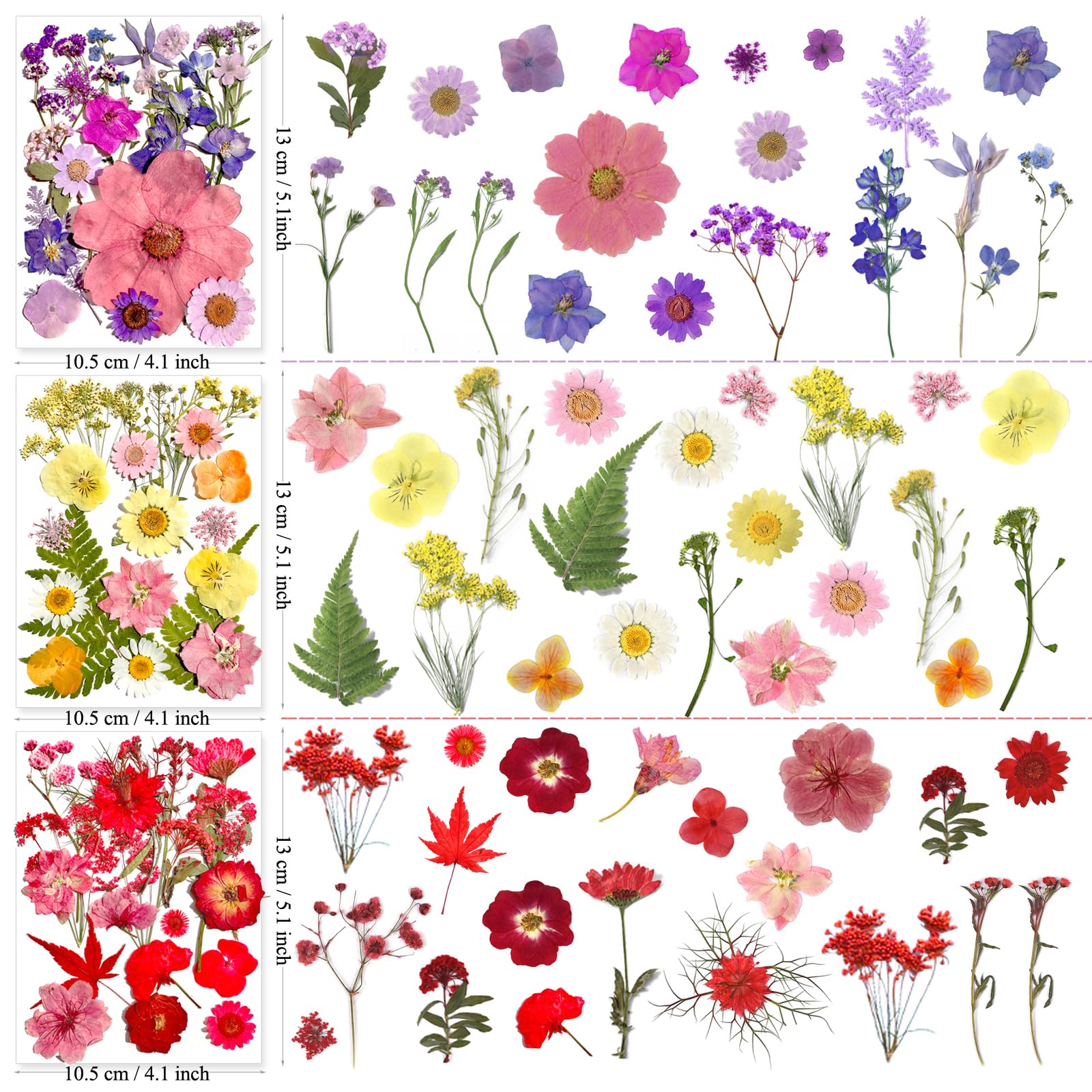 MIKIYA gift-worthy pressed flowers set for special occasions.
