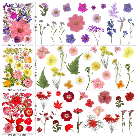 MIKIYA gift-worthy pressed flowers set for special occasions.