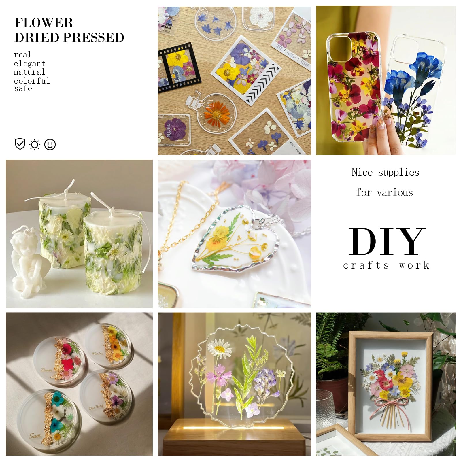 MIKIYA pressed flowers for jewelry crafts and scrapbooking projects.