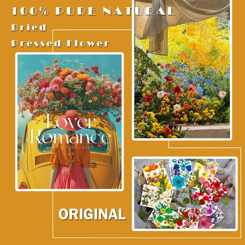 MIKIYA real nature flowers and leaves for assorted craft projects.