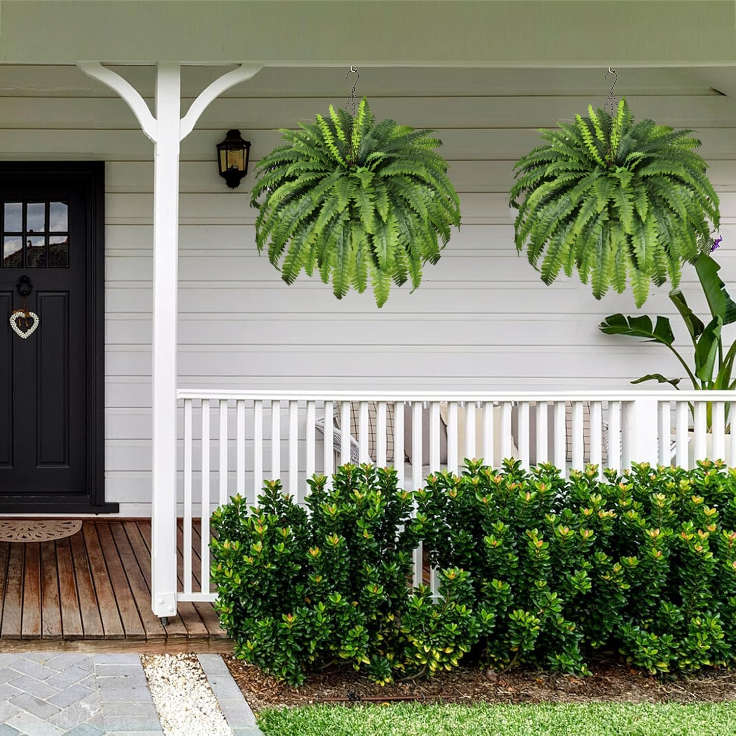 MILHAO FOREST hanging ferns create vertical greenery in spaces.