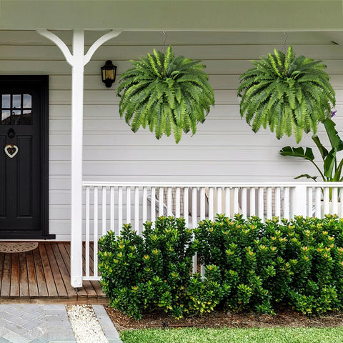 MILHAO FOREST hanging ferns create vertical greenery in spaces.