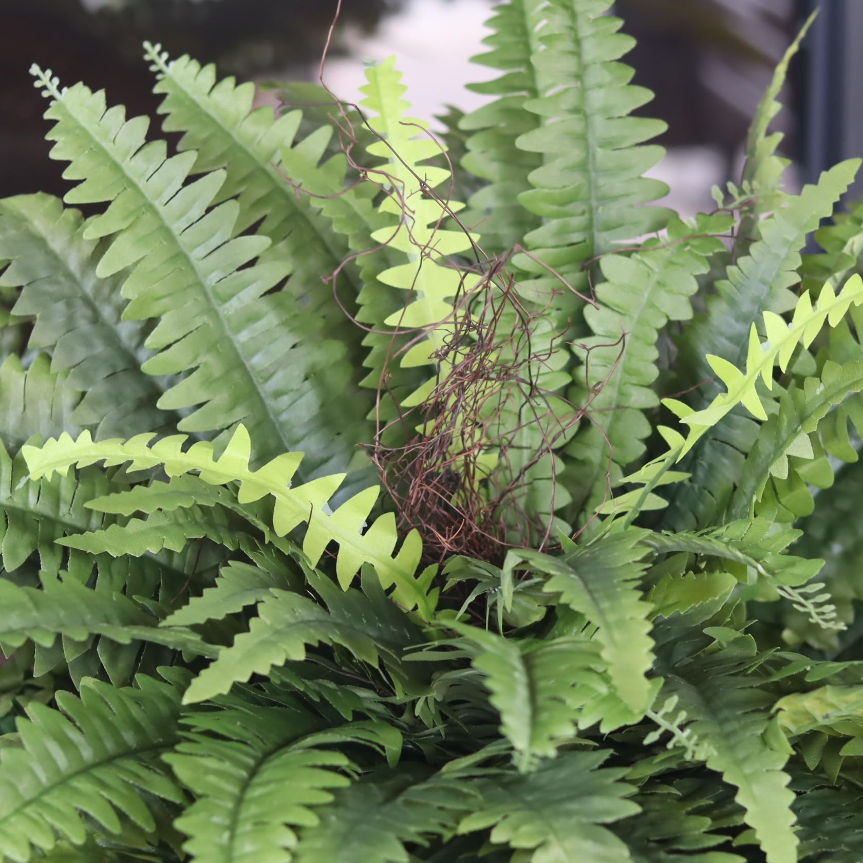 MILHAO FOREST maintenance-free ferns stay vibrant without watering.