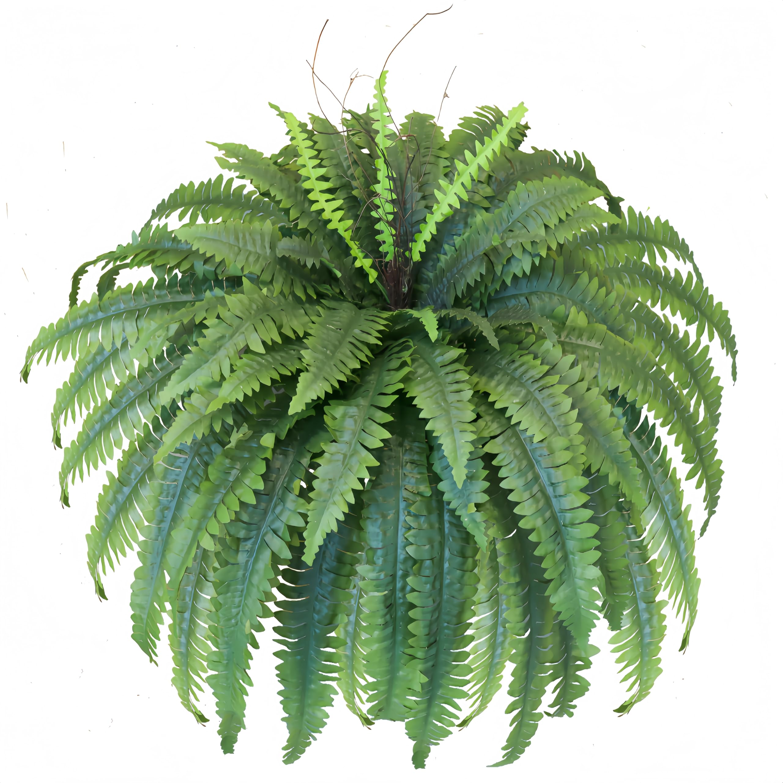MILHAO FOREST artificial ferns outdoors — lifelike greenery for porches and entrances.